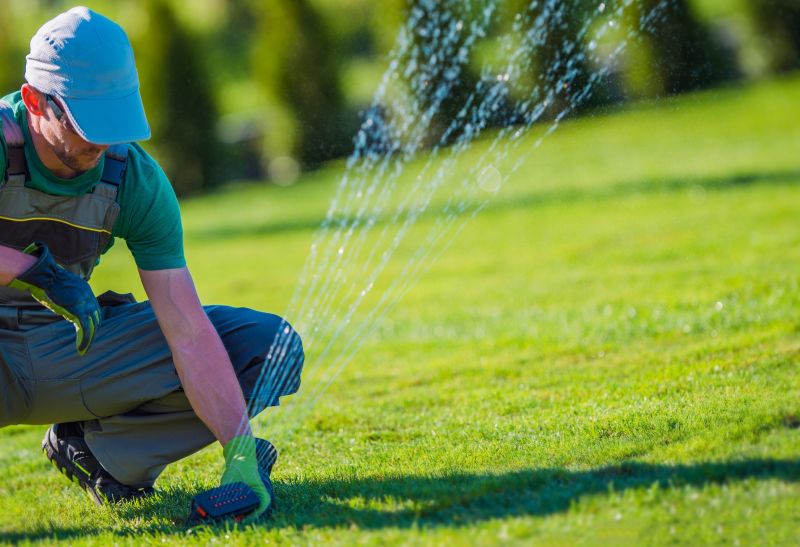 Professional Irrigation Inspection