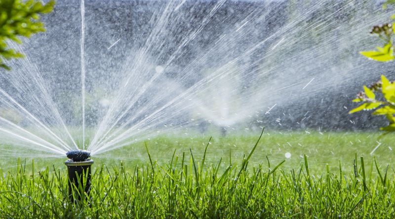 Sprinkler Valve Replacement in Aiken, SC