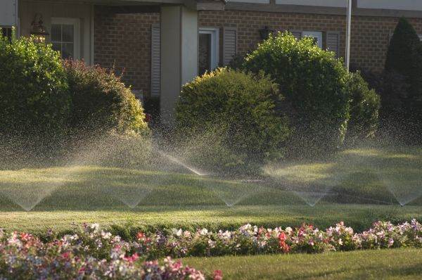 Lawn Irrigation Installation
